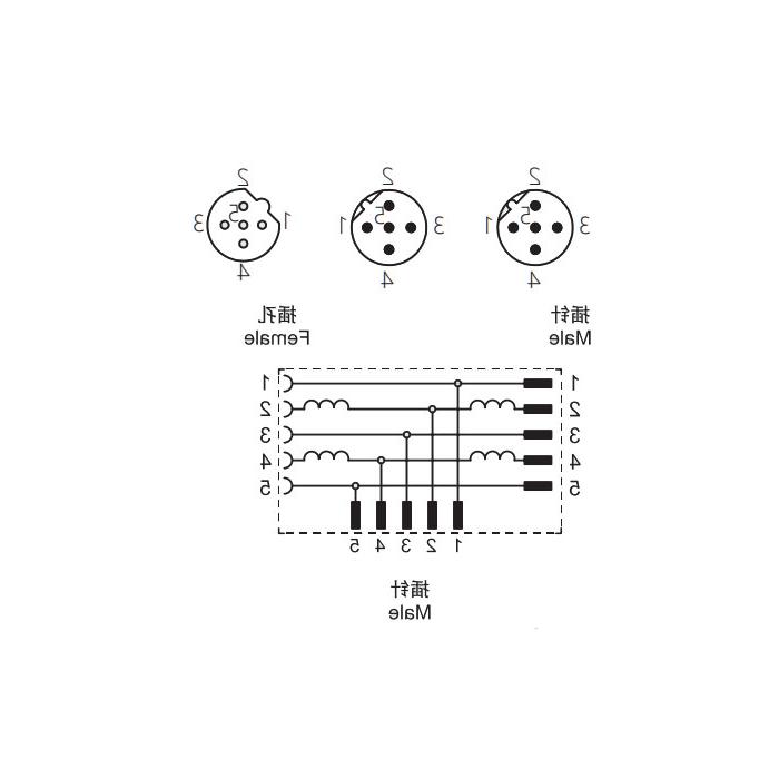 M12 5 Pin female/2M12 5 Pin male  、​B-coded 、T-connector、0C5555